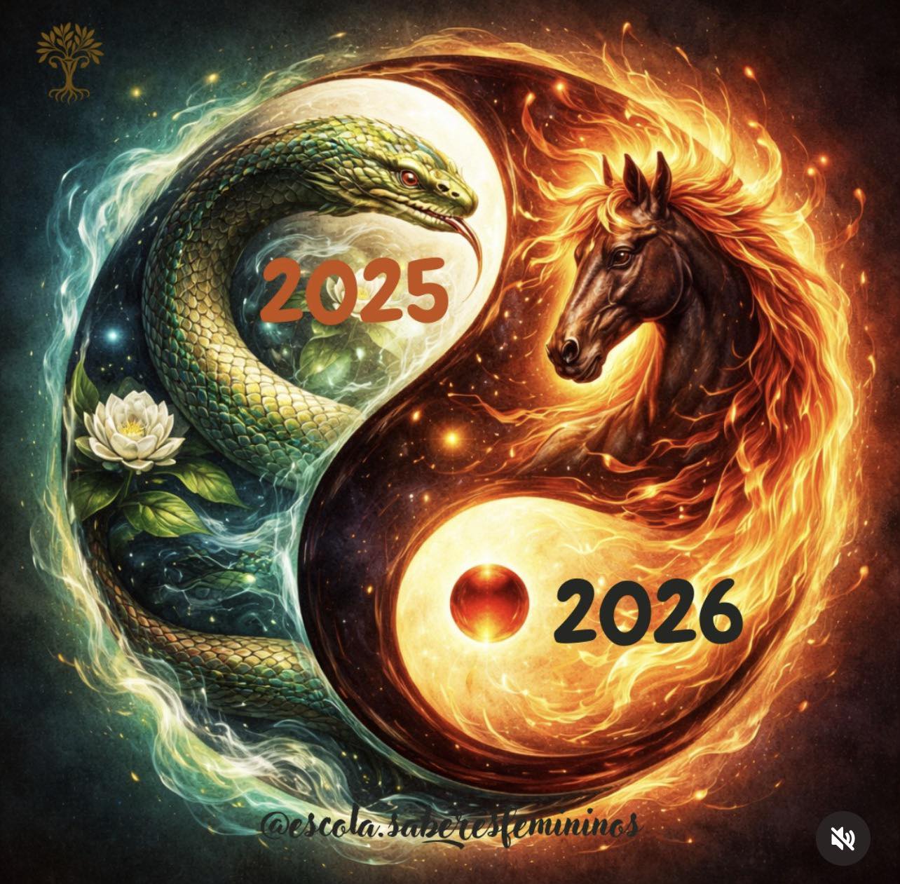 607995913 885604537357788 7965069867339810035 n